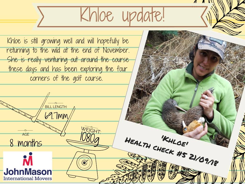 Adopt a Kiwi update 5